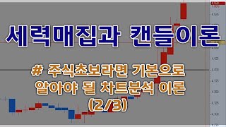 주식초보가 세력주를 하고 싶다면?! 이건 기본으로 알고 있어야 합니다[세력과 캔들 이론]  2화