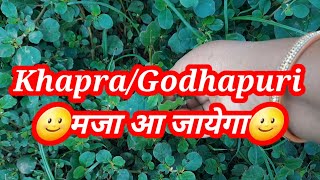 #khapra sag/Godhapuri sag/medicine से कम नहीं