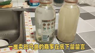 新手养鱼避坑指南每天踩一坑，坑坑不一样土霉素怎么选