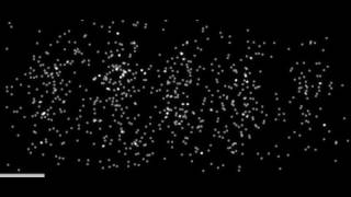 The Double Slit Experiment Performed With Electrons