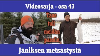 Osa 43 - Jäniksen metsästystä - kausi 2019/2020