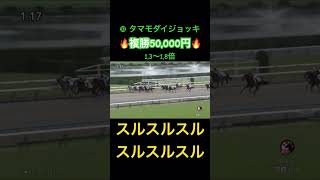 #108【10/14 最終京都12R】レジェンド豊さんの神騎乗炸裂❗️❗️