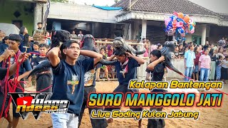 Kalapan Kesenian Bantengan SURO MANGGOLO JATI Terbaru‼️ Live Gading Kulon Kec Jabung‼️