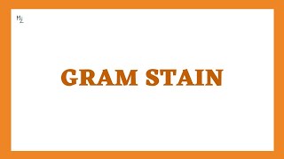 What is a Gram Stain | How to do Gram Staining |  Medzukhruf