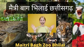 मैत्री बाग भिलाई छत्तीसगढ़ | Maitri Bagh Bhilai |  Maitri Garden Bhilai Chhattisgarh