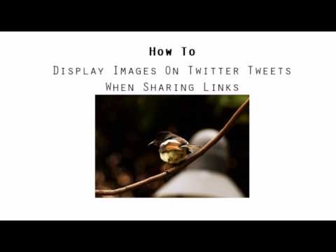 Blogger Tips: How to auto display images when sharing links to Twitter? Blogger Tips: How to auto display images when sharing links to Twitter?