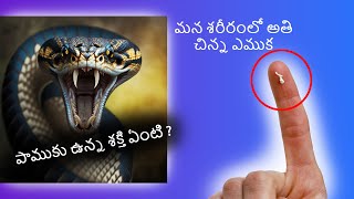 హలో.. ఇది తెలుసా ? SOME INTERESTING FACTS || PLEASE WATCH