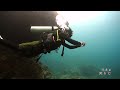 fun dive tenggol island 20th may 2023 cws stallion