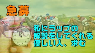 ラップの概念が苦手な私にNHKマイルのラップタイムについて教えてくれる優しい人はいませんか？