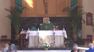 St. Petronille LiveStream - Rosary \u0026 Mass Tuesday, 7:30 AM, Aug 13, 2024, St.s Pontian \u0026 Hippolytus