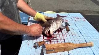 こだわりスープおすすめ　鯛の神経抜　瀬戸内の魚醤油屋　DHA・EPAで健康