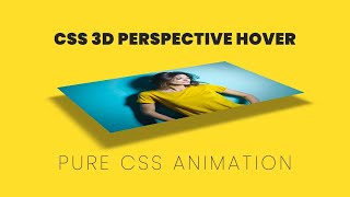 3D Perspective CSS Hover Effects | CSS Animation Examples