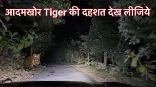 Night Drive Jim Corbett National Park | Tiger Attack Jim Corbett | Jim Corbett Maneater #tigerattack