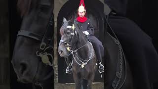 THE BLUES AND ROYALS OF HOUSEHOLD CAVALRY 20250116MP4