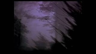 Stan Brakhage: DOG STAR MAN - PRELUDE (last few minutes)