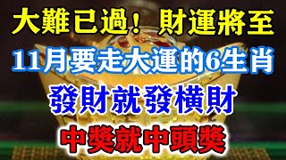 大難已過！財運將至！11月要走大運的6生肖，發財就發橫財！中獎就中頭獎！財神爺都擋不住！#運勢 #風水 #佛教 #生肖 #发财 #横财 【佛之緣】