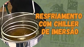 Resfriamento do Mosto Cervejeiro com Chiller de Imersão no Processo de Produção de Cerveja em Casa