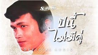 ปีนี้ไม่มีคู่ - ระพิน ภูไท  [ Official Audio ]