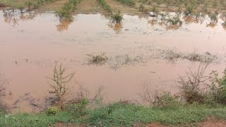 October 24,2021 heavy rain in Anantapur\u0026kalyandurgam/అనంతపురంలో వర్షం, కళ్యాణదుర్గం లో వర్షం