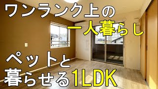 【ときめきルームツアー】ワンランク上の一人暮らし ペット暮らせる１LDK｜間取り 1LDK｜一人暮らし 新婚 同棲 | 賃貸 マンション｜不動産｜部屋紹介 『鹿児島 お部屋探訪#71 』【内見】