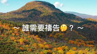 靈修旅程第781天 誰需要禱告🤔？ 經文：路加福音18：1-8