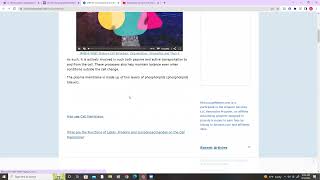 9/19 Cells WebQuest