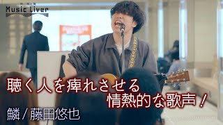 【 歌うま 】聴く人を痺れさせる情熱的な歌声！　鱗 / 秦基博（ covered by 藤田悠也 ）公認路上ライブ【日本橋 Music Liver】より 🎧推奨 高音質（HQ SOUND）4K映像