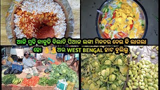 ଆଜି କାକୁଡି ଲଙ୍କା ପିଆଜ ବିଲାତି ମିକଚର ଆଉ ମୁଢି ଜମେଇକି ଖାଇବା ହୋ 😜😜ଅଉ West Bengal ହାଟ ଟିକେ ବୁଲିବା #vlogs