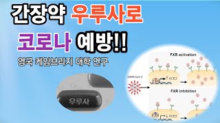 간장약 우루사로 코로나 예방,  영국 캐임브리지 대학교 연구 발표