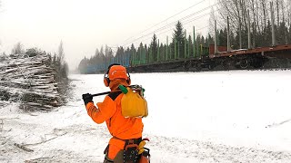 Kaadetaan puita - Junaradalta moton kanssa