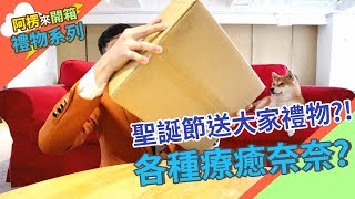 【阿楞來開箱#13】聖誕節送大家禮物?好多療癒的奈奈?