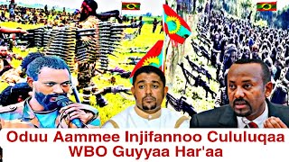 Oduu Aammee Amajji 29/2025/Injifannoo Cululuqaa Gooticha WBO Guyyaa Har'aa