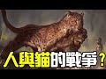 恐猫，巨颏虎：遠古人類與貓科動物的殘酷血腥鬥爭早就在非洲大陸上打響丨非洲篇丨冰河世紀