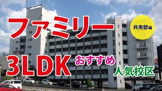 【ファミリーおすすめ】人気校区の賃貸マンションご紹介！共用部編【北九州市小倉北区】