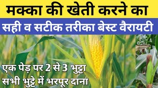 मक्का की खेती कब और कैसे करे | Makka ke kheti ki jankari | Makka ki kheti | Maize cultivation 2025