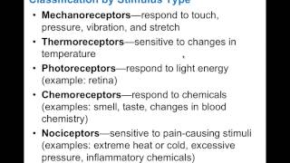 Chapter 13.1 Sensory Receptors BIO201