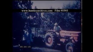 Fruit Picking On The HaZore'a Kibbutz Israel, 1950s - Film 95593