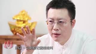 绿帽子算什么人家龙生九子，没有一个像它的！