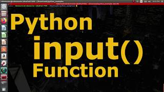 05 - Python input() Function