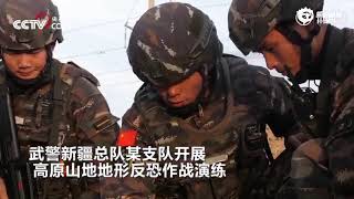 天山捕歼战！中国武警新疆总队演练高原山地反恐