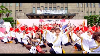 関学よさこい連 炎流　京都さくらよさこい　さくよさ 2015