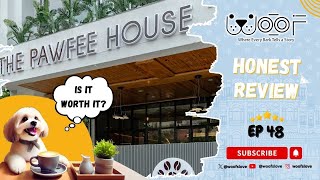 Honest Truth About Jaipur's FIRST Pet-Friendly Café! | Woof Review