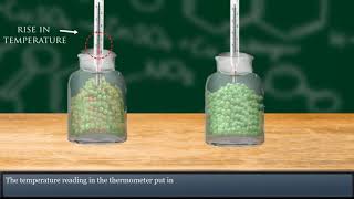 Heat is released during Respiration
