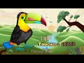 name of bird vocabulary 30 word រៀនអំពីឈ្មោះបក្សី 30 សត្វ ching pov 03