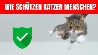 6 WEGE, WIE IHR KATZE SIE SCHÜTZT UND SIE WUSSTEN ES NICHT! (WENIGE MENSCHEN WISSEN ES)