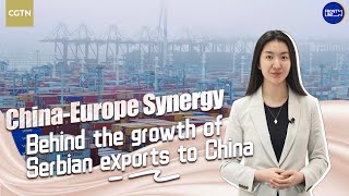 China-Europe Synergy: Behind the growth of Serbian exports to China