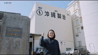 沖縄転職・就職にオキナビ！　沖縄製粉株式会社【動画求人オキナビ】＜沖縄と小麦の食文化にこだわる沖縄製粉＞新時代の 総合食品メーカーへ