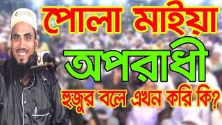 পোলা মাইয়া অপরাধী হুজুর একি বলে? Golam Rabbani 2019 Bangla Waz 2018