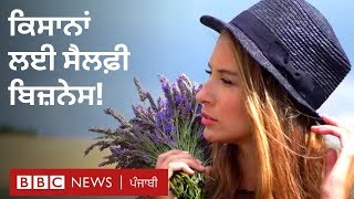 ਕਿਸਾਨਾਂ ਲਈ ਪੈਸੇ ਕਮਾਉਣ ਦਾ ਨਵਾਂ ਤਰੀਕਾ! BBC NEWS PUNJABI