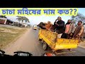 চাচা মহিষের দাম কত ?? MY FIRST MOTO VLOG | JESTER MH SUMON